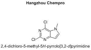 2,4-dichloro-5-methyl-5H-pyrrolo[3,2-d]pyrimidine